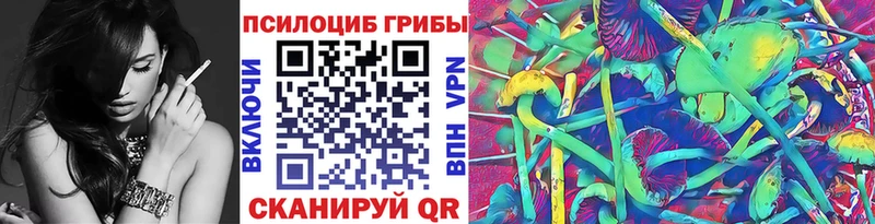 Купить закладки  Избербаш  Псилоцибиновые грибы GOLDEN TEACHER 