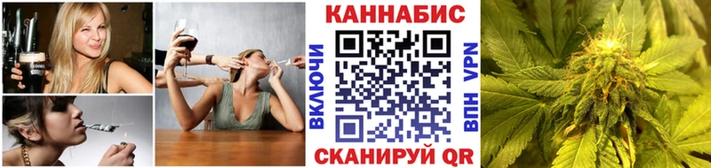 Купить где  Избербаш  Бошки Шишки ГИДРОПОН 
